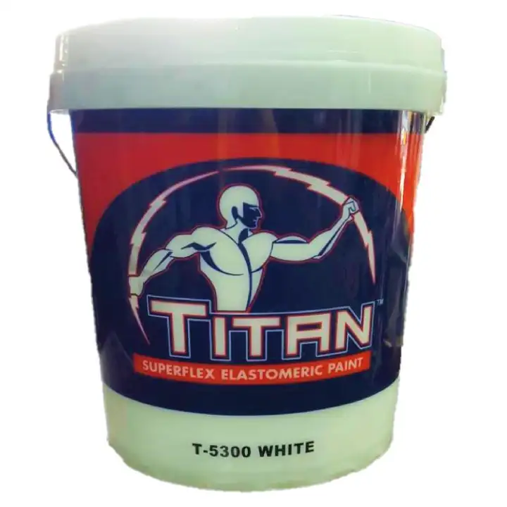 Titan Superflex Elastomeric Paint White 16l By Boysen Paints Lazada Ph