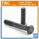 TGC 1PC M20 x 40~200mm HT Hex Bolt / Hexagonal Capscrew High Tensile / Grade 8.8 Machine Bolt Cap Screw NC. 