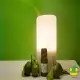Calamansi Essential Oil  10 ML. 