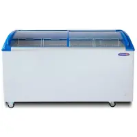 Fujidenzo Fc 29adf 29 Cu Ft Chest Freezer Lazada Ph