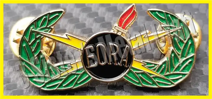 EORA (Explosive Ordinance Reconnaissance) Pin, Molder type, plated Gold/Silver, 4.25cm by 2cm on 2.3mm thickness with box