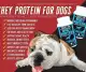 WHEY PROTEIN FOR DOGS: PROJECT FARM 2.2LBS. 