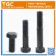 TGC 1PC M20 x 40~200mm HT Hex Bolt / Hexagonal Capscrew High Tensile / Grade 8.8 Machine Bolt Cap Screw NC. 