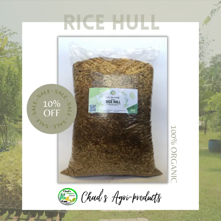Rice Hull