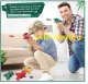 JURASSIC world DINOSAUR DINO EPOCH NERF like SHOOTING SOFT FOAM BULLET TOY BLASTER GUN TOYS SET. 