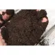 The Green Habit by May | Vermicast fertilizer 1 kilo vermicast pure organic vermicast soil 1 pack vermicast soil worm organic vermicast compost soil pure vermicast soil soil enhancer vermicast. 