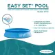 Intex 28116 Easy Set Pool 10 ft x 24 inches. 