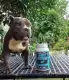 WHEY PROTEIN FOR DOGS: PROJECT FARM 2.2LBS. 