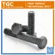 TGC 1PC M20 x 40~200mm HT Hex Bolt / Hexagonal Capscrew High Tensile / Grade 8.8 Machine Bolt Cap Screw NC. 