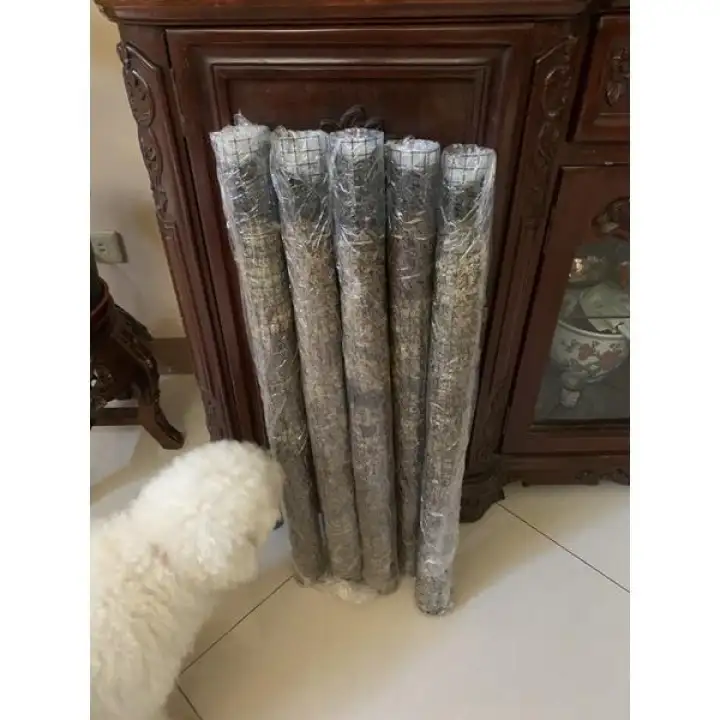1ft Stackable - Sphagnum Moss Poles by Curated Plants