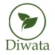 Diwata Alis Galis  Fast reliever of itchy skin due to Fungi at kati kati sa katawan  Remedy Hypo Allergenic Dermatitis. 