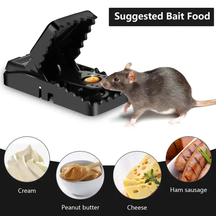 Ss Mouse Trap High Quality Good Practical High Reusable Plastic Rat Traps Mice Mouse Traps Mousetrap Bait Snap Spring Rodent Catcher Pest Control Lazada Ph