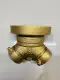 Siamese Twin 6 x 2 1/2 x 2 1/2'' inch with Plug and Chain Fire Department Connection Dry (150 x 65 x 65mm). 