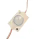 12V 1.5W Single LED  Module Light 20pcs Per Pad. 