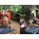 Figma 483-DX Game SEKIRO Figure Shadows Die Twice Action Figures SEKIRO Shadows Die Twice Model Toys Co. Decor Dollar. 