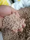 [CLR AGRIVET] 5-25kg ATLAS PERFECT GRO 14-14-14 FERTILIZER/ ATLAS COMPLETE FERTILIZER/ Pataba sa halaman/ COMPLETE FERTILIZER. 
