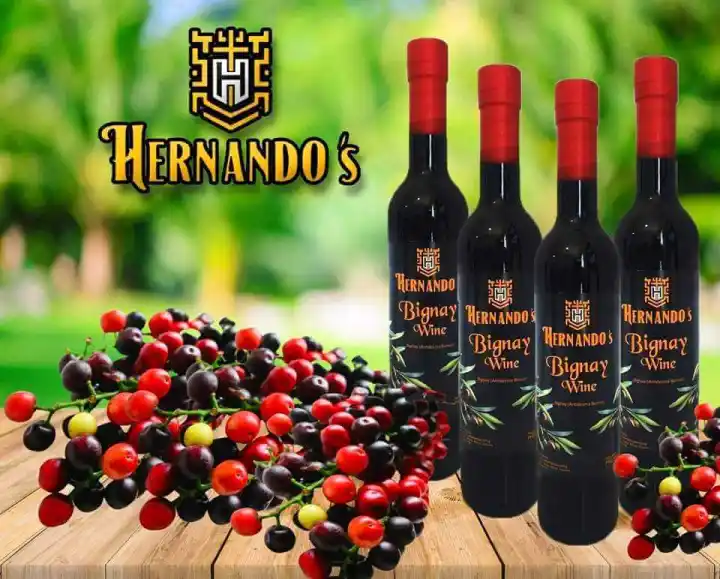 Hernandos Bignay Wine 500 ml