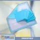 Sure-Guard Underpads 10 Pads. 