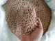 [CLR AGRIVET] 5-25kg ATLAS PERFECT GRO 14-14-14 FERTILIZER/ ATLAS COMPLETE FERTILIZER/ Pataba sa halaman/ COMPLETE FERTILIZER. 