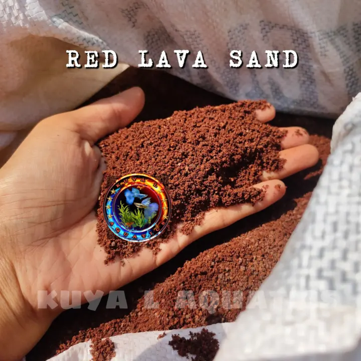 RED LAVA SAND AQUARIUM SUBSTRATE Kuya L Aquatics Lazada PH