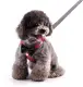 Adjustable Breathable Dog Leash And Vest Collar Harness With Bow Tie (SMALL). 