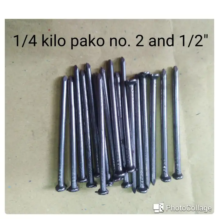 Common Wire Nail 2 And 1 2 Or Pako 1 4 Kilo Lazada Ph