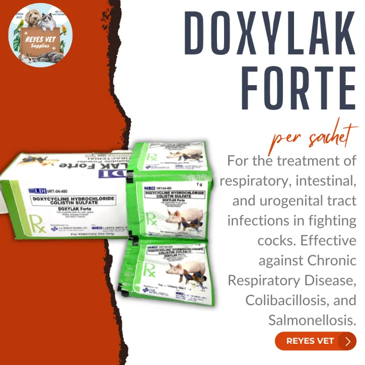 [VET SUPPORT] DOXYLAK FORTE TABLET - Antibacterial (1 Box x 100 Tablets) for Gamefowl