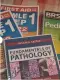 BRS Pediatrics 2nd Edition. 