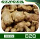 100 Grams Fresh Ginger Luya Laya from Benguet. 
