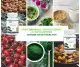 GFOXX Spirulina With Probiotics (FDA Approved) w/100 tablets Rich in Antioxidant, Minerals, Vitamins. Authentic and Authorized Distributor. 