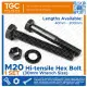 TGC 1PC M20 x 40~200mm HT Hex Bolt / Hexagonal Capscrew High Tensile / Grade 8.8 Machine Bolt Cap Screw NC. 
