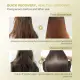 Bremod Hair Serum 10 in1 Hair Repair Dry Damaged Deeply Nourish Moisturize Hydrates Protects Hair Smoothes Frizz 210ml. 