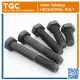 TGC 1PC M20 x 40~200mm HT Hex Bolt / Hexagonal Capscrew High Tensile / Grade 8.8 Machine Bolt Cap Screw NC. 