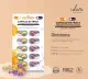 Skin Formula Vit. C + Retinol Capsule Extract - Travel Set. 
