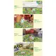 JF  Soft Foldable Baby Play Mat Foam Playmat Crawling Pad /Toddler Playing Beach Pad-Z605. 