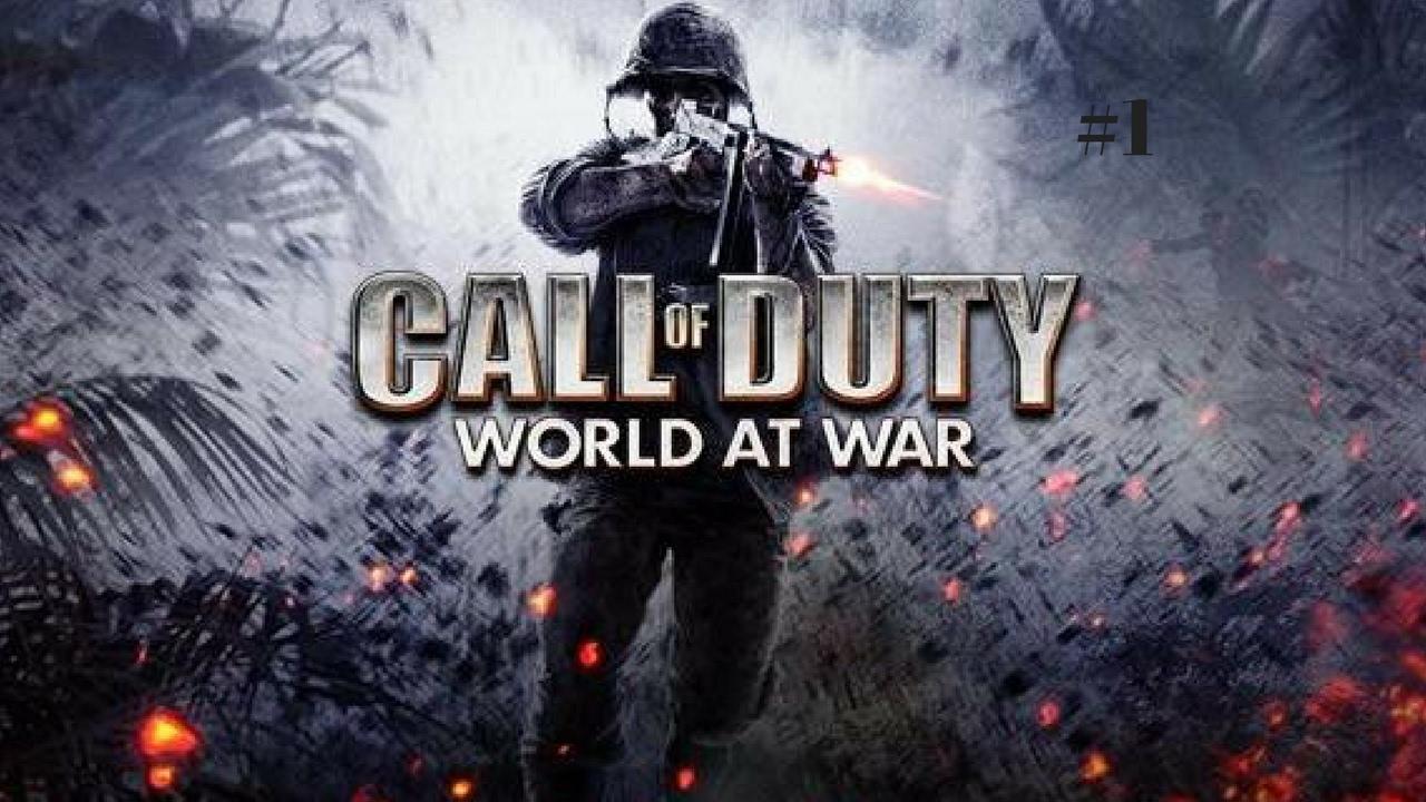 call of duty world at war pc