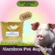 [APS] 1KG CASADOR HOG BREEDER MASH/ FEED MIXED WITH PREGNANT PIGS / PARA SA INAHING BABOY. 