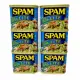 SPAM LITE 340 GRAMS SET OF 6. 