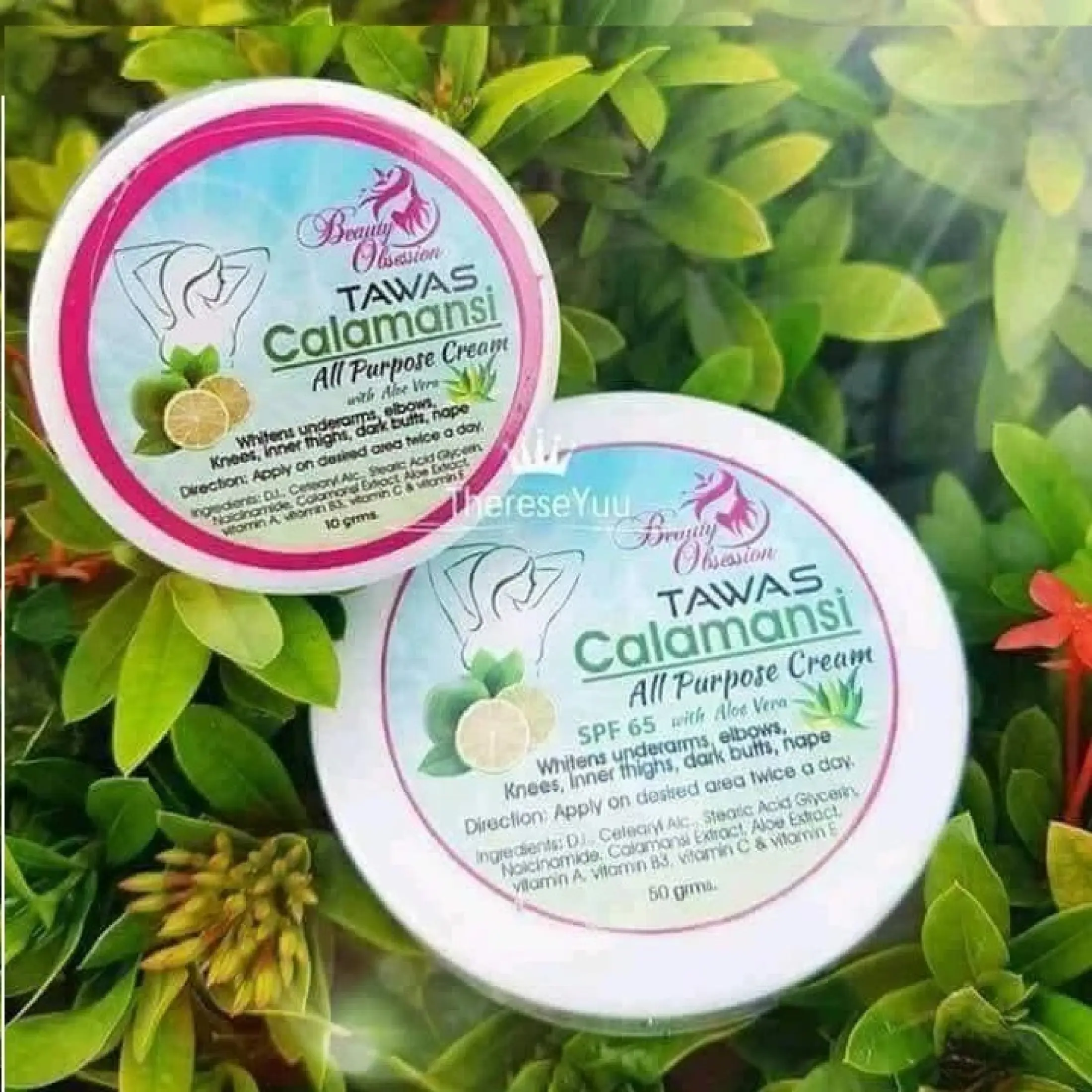 Original Tawas Calamansi Underarm Whitening All Purpose Cream With Aloe Vera 10g Lazada Ph Original Tawas Calamansi Underarm Whitening All Purpose Cream With Aloe Vera 10g Lazada Ph