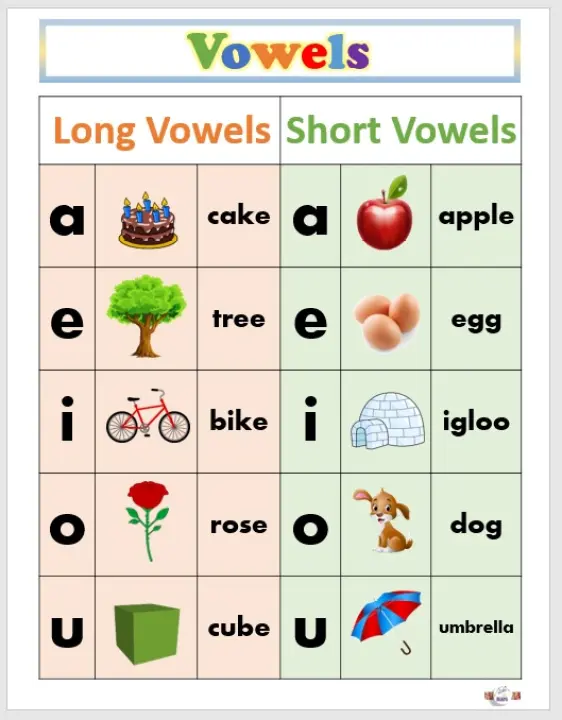 Laminated Chart Vowels, Educational chart for kids (size 8.5 x 11 inches)| Learning Material