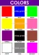 Colors Chart A4 Laminated High Print Quality. 