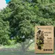 Molave Tree Seeds, Vitex Parviflora Seeds, Tree Seeds 50 seeds High Quality Variety Rare （Not a plant) Germination rate is  100% Buy one get one free [Fast Germination] [Fast Delivery]. 