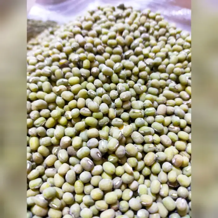 Monggo Beans Labo (¼,½&1kg)