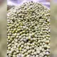 Monggo Beans Labo (¼,½&1kg). 