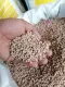 [CLR AGRIVET] 5-25kg ATLAS PERFECT GRO 14-14-14 FERTILIZER/ ATLAS COMPLETE FERTILIZER/ Pataba sa halaman/ COMPLETE FERTILIZER. 