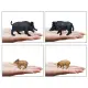♞In Stock Wholesale♞New Simulation Wild Boar Animal Model Set Solid Static Boar Wild Boar Pups Ornaments Scene Decoration Model Montessori Teaching Aids. 