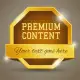 QUIZLET PLUS PREMIUM PERSONAL PRIVATE ACCOUNT. 