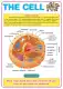 The Cell Educational Chart - A4 Size Poster - Waterproof print. 