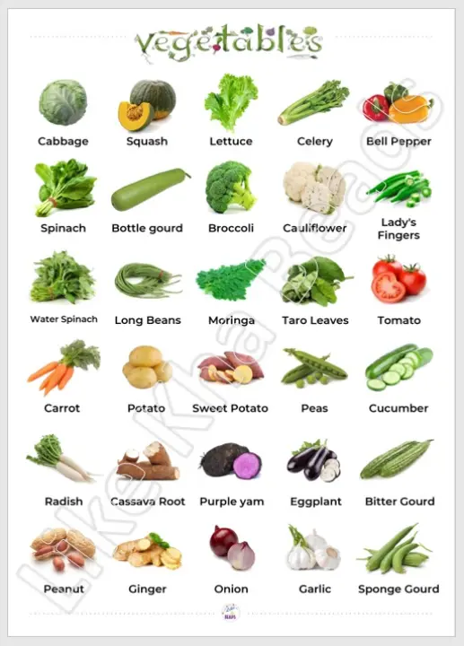 Laminated Big chart Vegetables Educational Chart for kids,  Laminated Chart, Wall Chart (11.5 x 16 inches) A3 size
