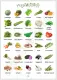Laminated Big chart Vegetables Educational Chart for kids,  Laminated Chart, Wall Chart (11.5 x 16 inches) A3 size. 